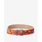 Leather belt BIBA Sumner