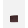Marron Oscuro