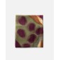 Foulard BIBA Scarves Foulard BIBA Scarves